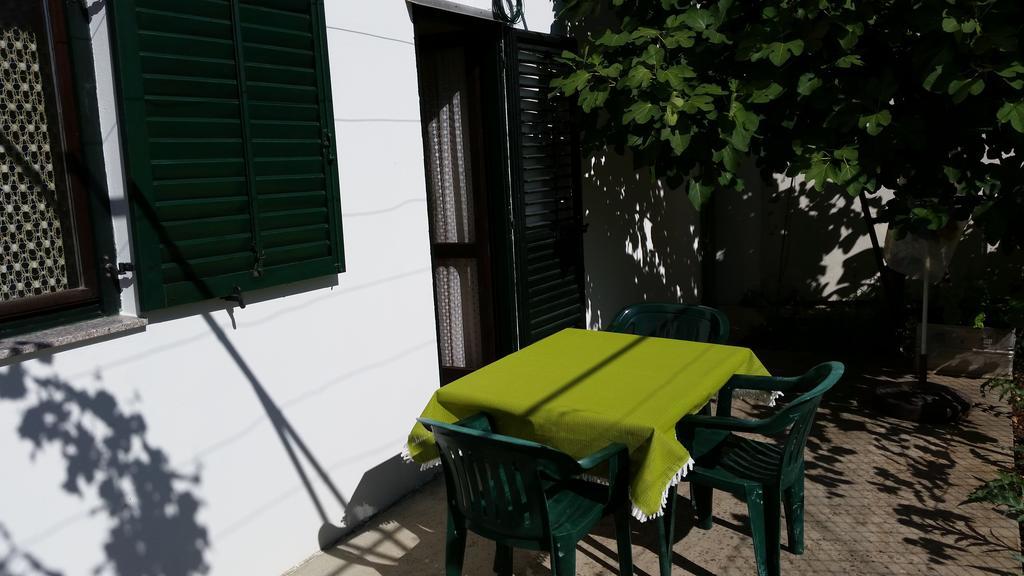 Apartments And Rooms Mirjana Bibinje Room photo